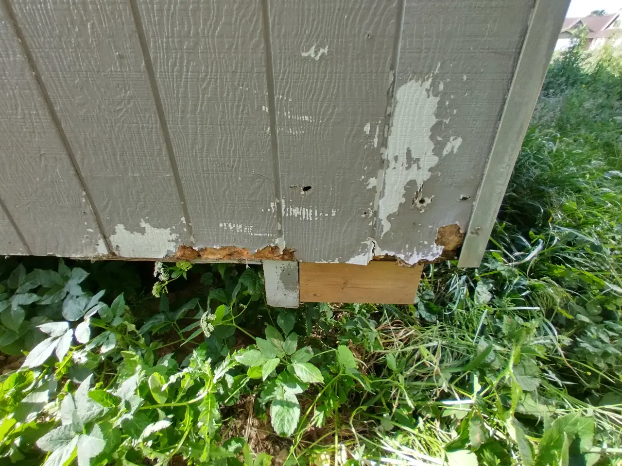 Billede 6 - Beboelsesvogne / Tiny house / Anneks – ca. 40–45 m