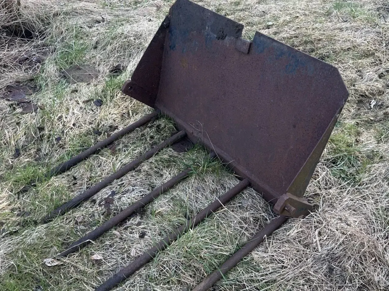 Billede 1 - Ålø møgbreb