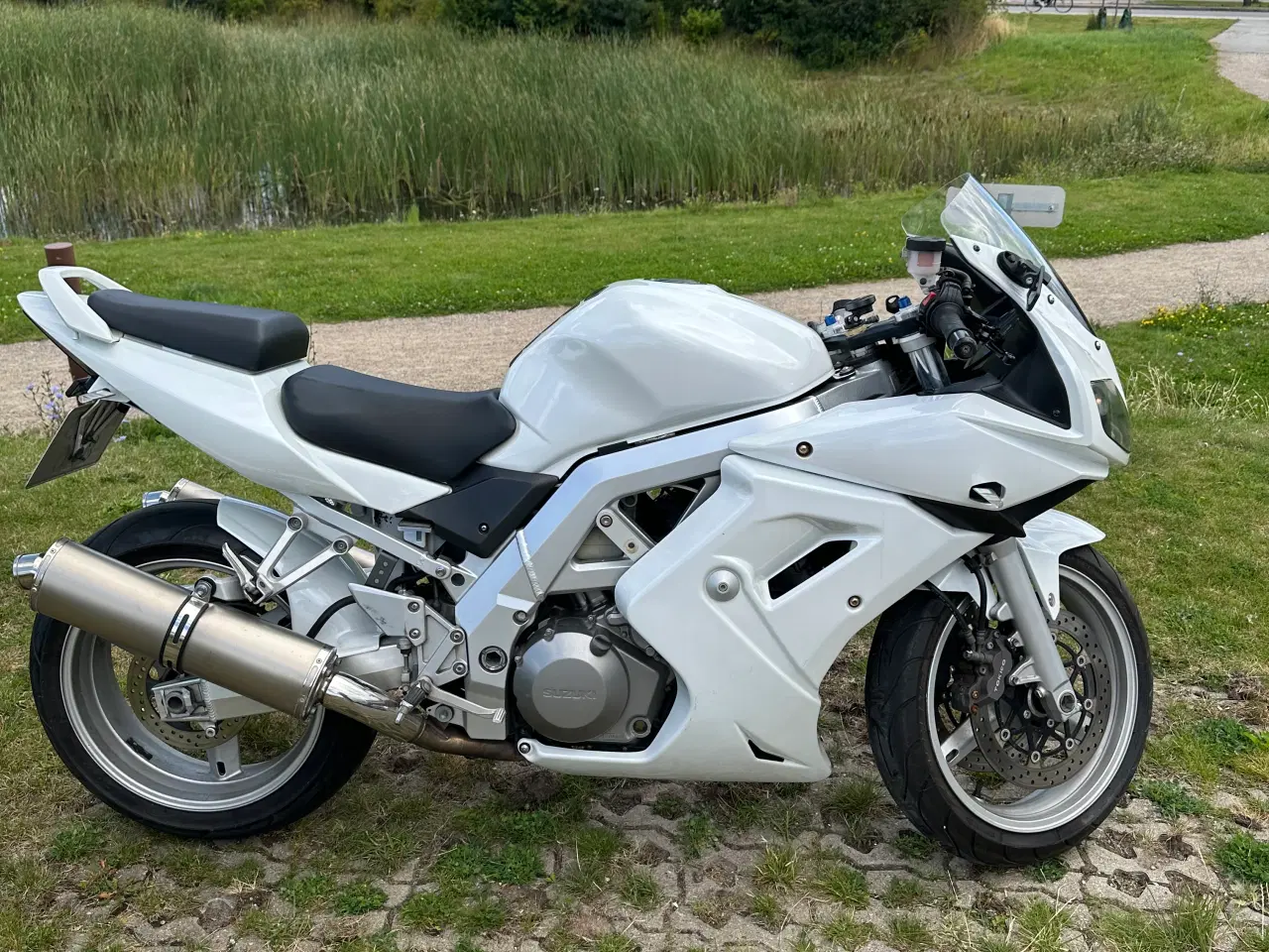Billede 6 - Suzuki SV1000S – V2 kraft med sjæl