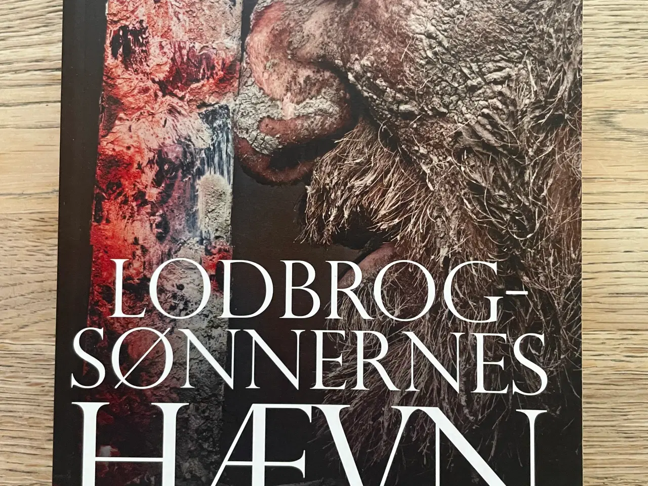 Billede 1 - Lodbrog-sønnernes hævn, Lasse Holm