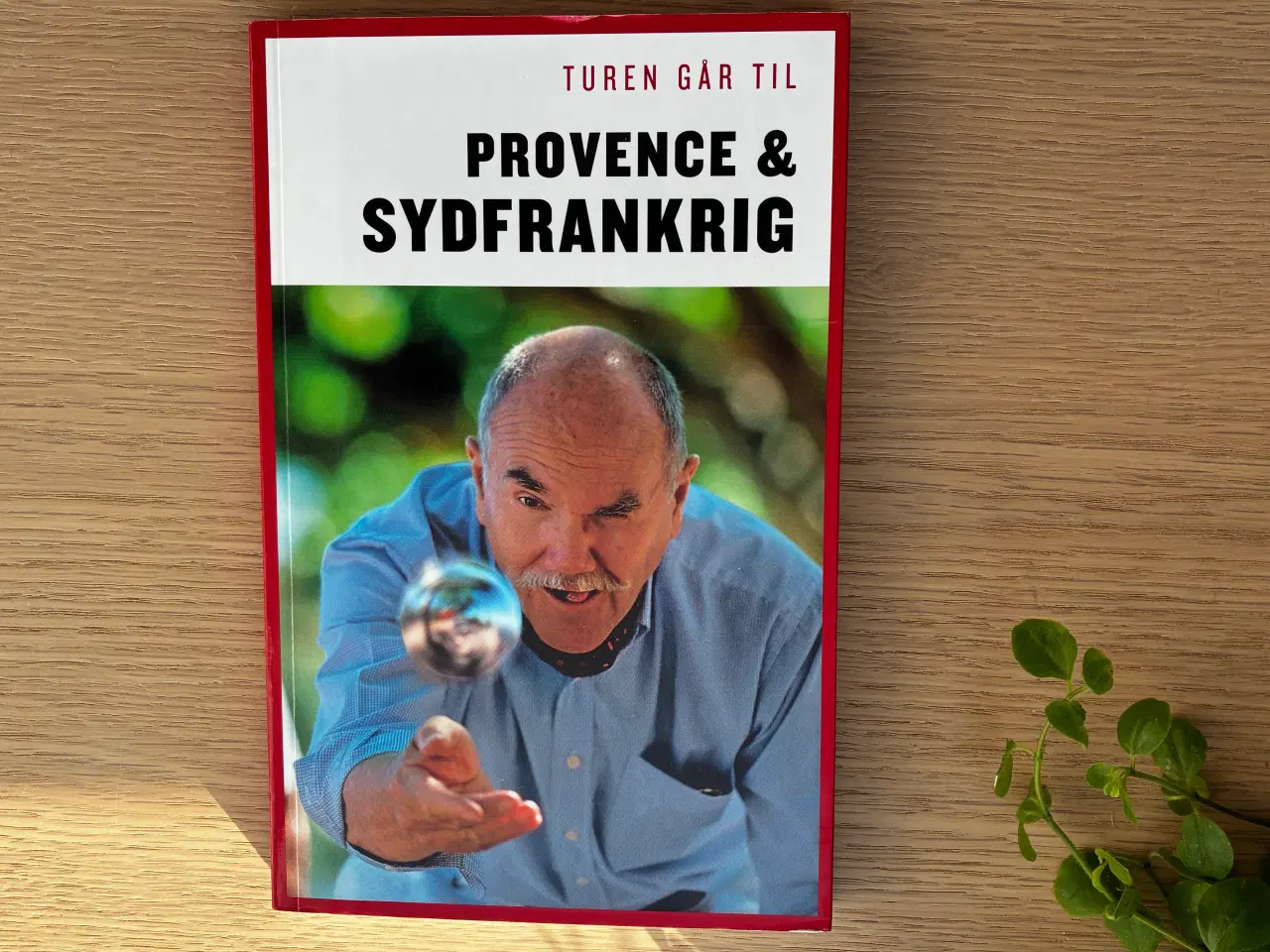 Billede 1 - Turen går til PROVENCE & SYDFRANKRIG