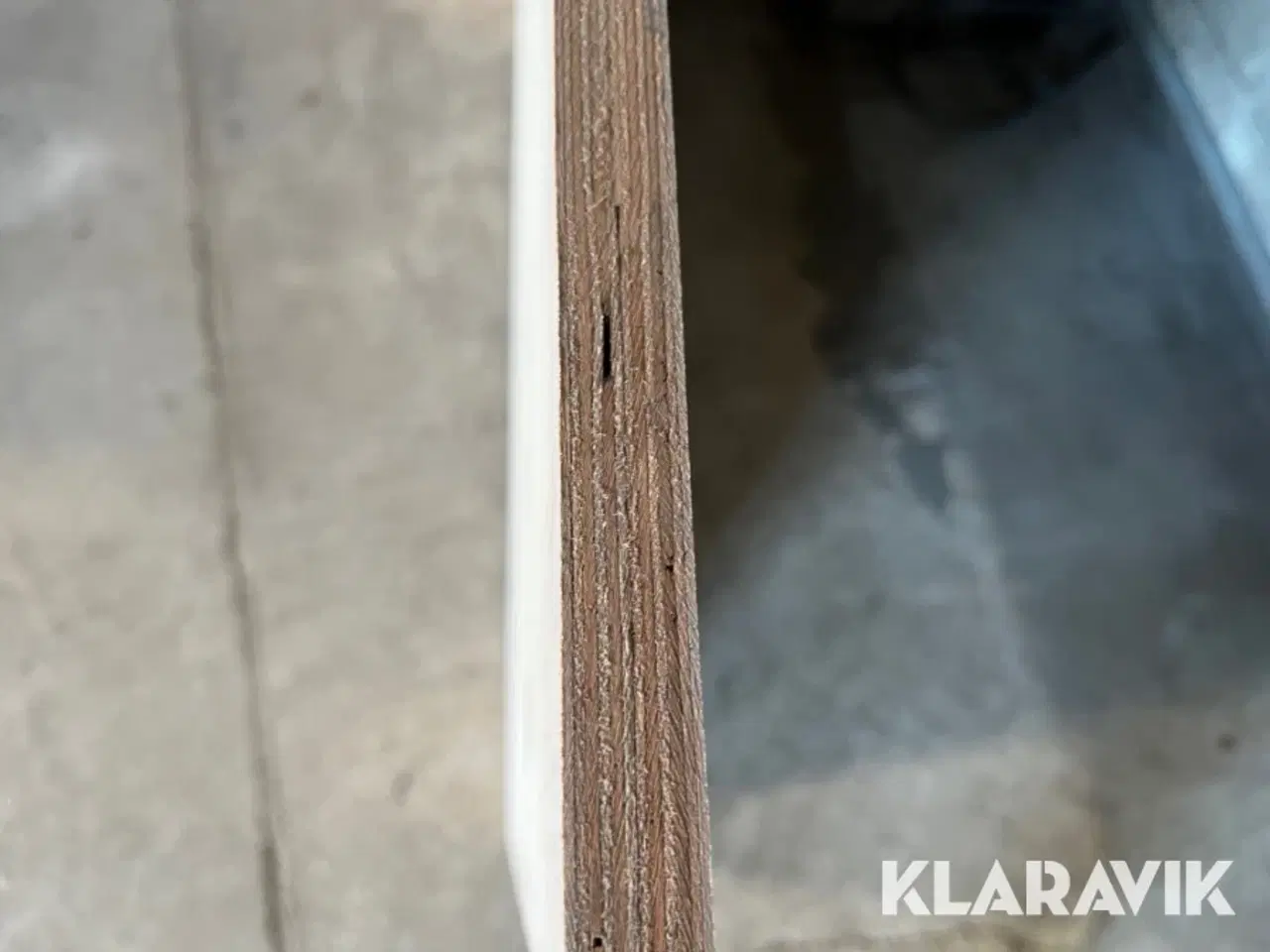 Billede 7 - Birkekrydsfiner 20 plader