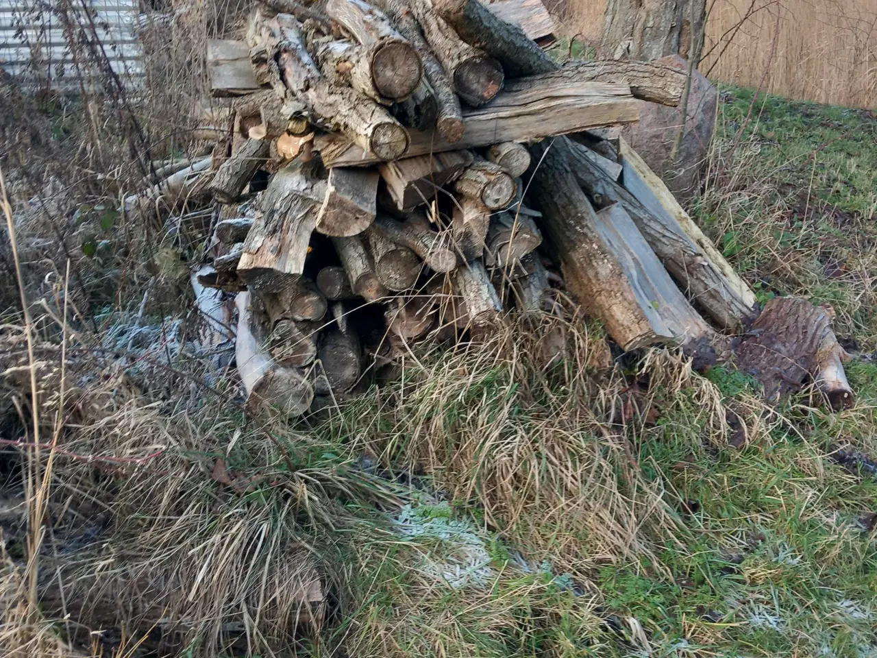 Billede 2 - Brænde, billigt