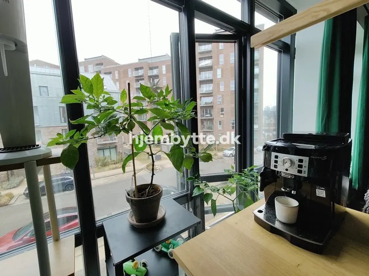 Billede 17 - Hjembytte - Flydedokken