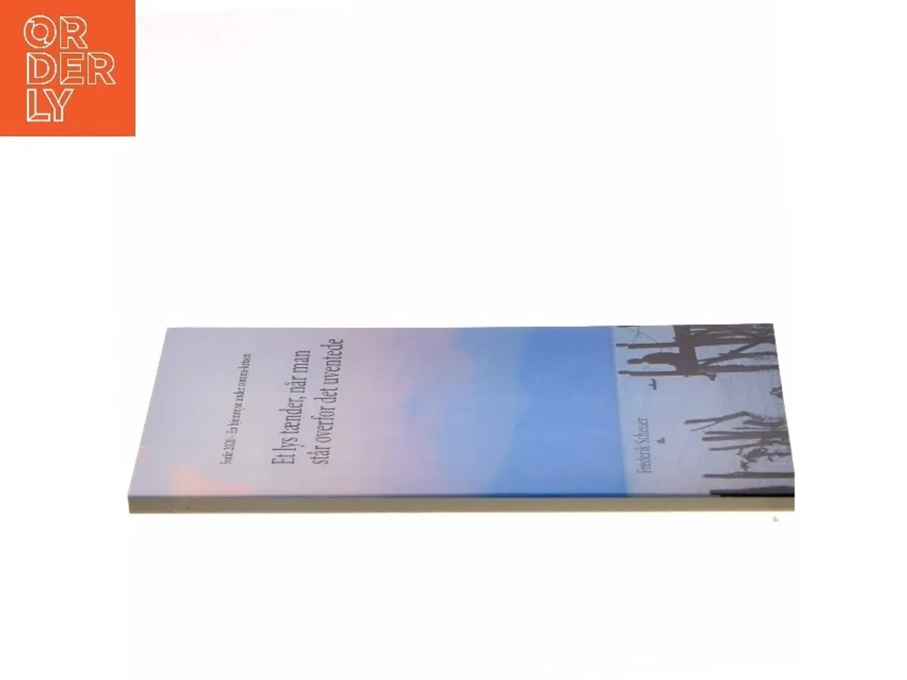 Billede 2 - Et lys tænder, når man står overfor det uventede : forår 2020 - en hjemrejse fra Mellemamerika til Danmark under corona-krisen af