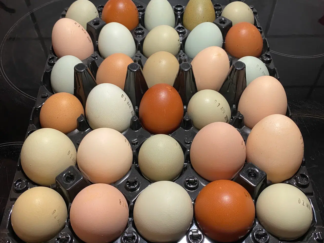 Billede 4 - Kyllinger 