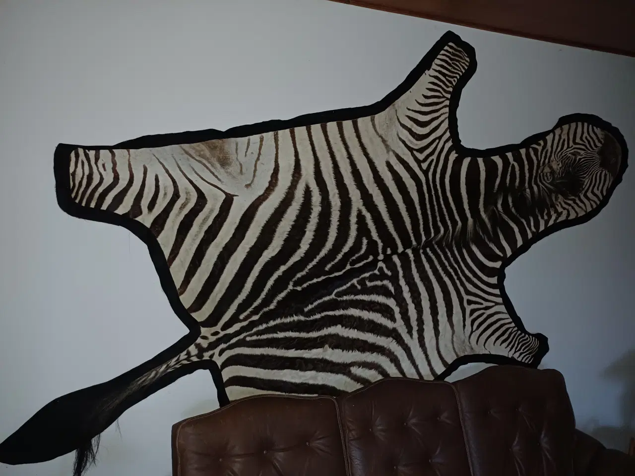 Billede 2 - Zebraskind, Crawshays zebra