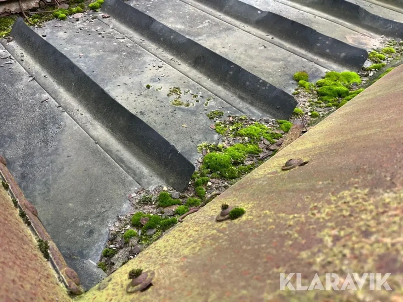 Billede 10 - Tiprist og sidebånd til Tim rundsorterer