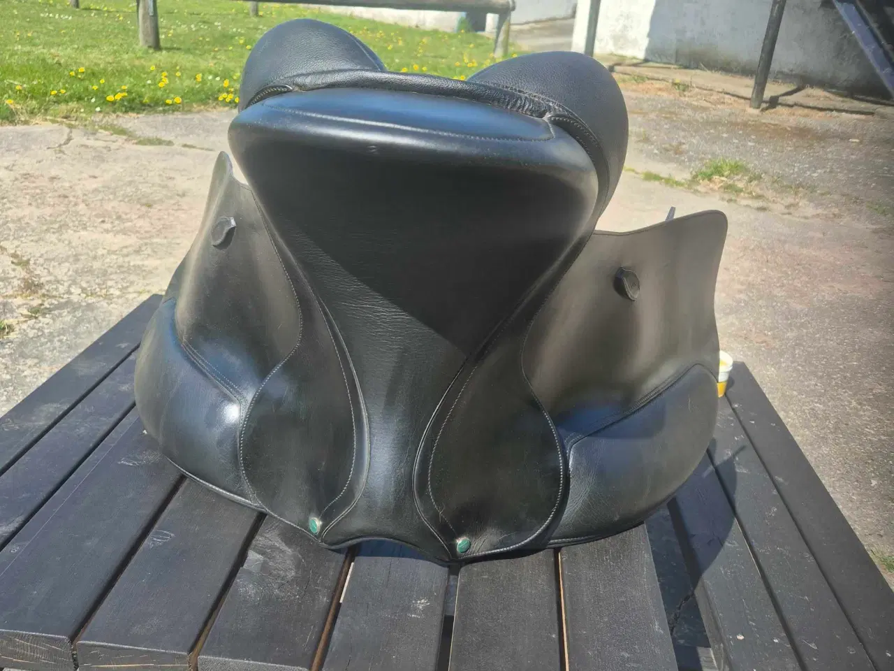 Billede 7 - Bates arena high wither 171/2"
