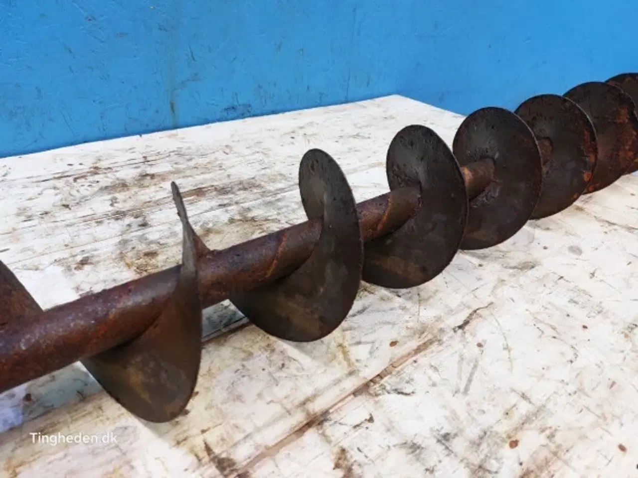 Billede 7 - Massey Ferguson 31 Fyldesnegl 28550083