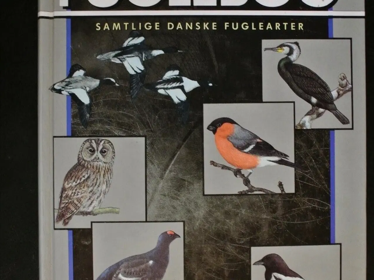 Billede 1 - politikens store fuglebog. 4. opl. samtlige danske