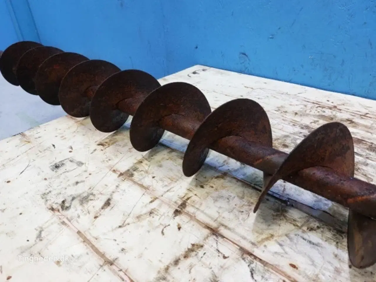Billede 6 - Massey Ferguson 31 Fyldesnegl 28550083