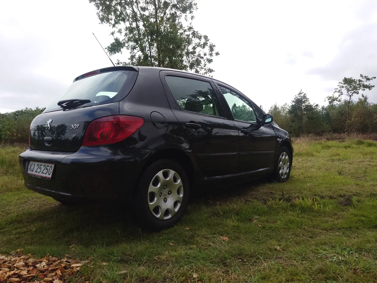 Billede 4 - Sort Peugeot 307 fra 2005 – Din nye bedste ven 🚙