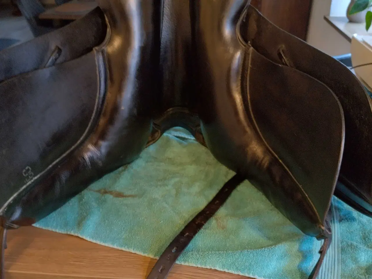 Billede 3 - Kent og Masters 