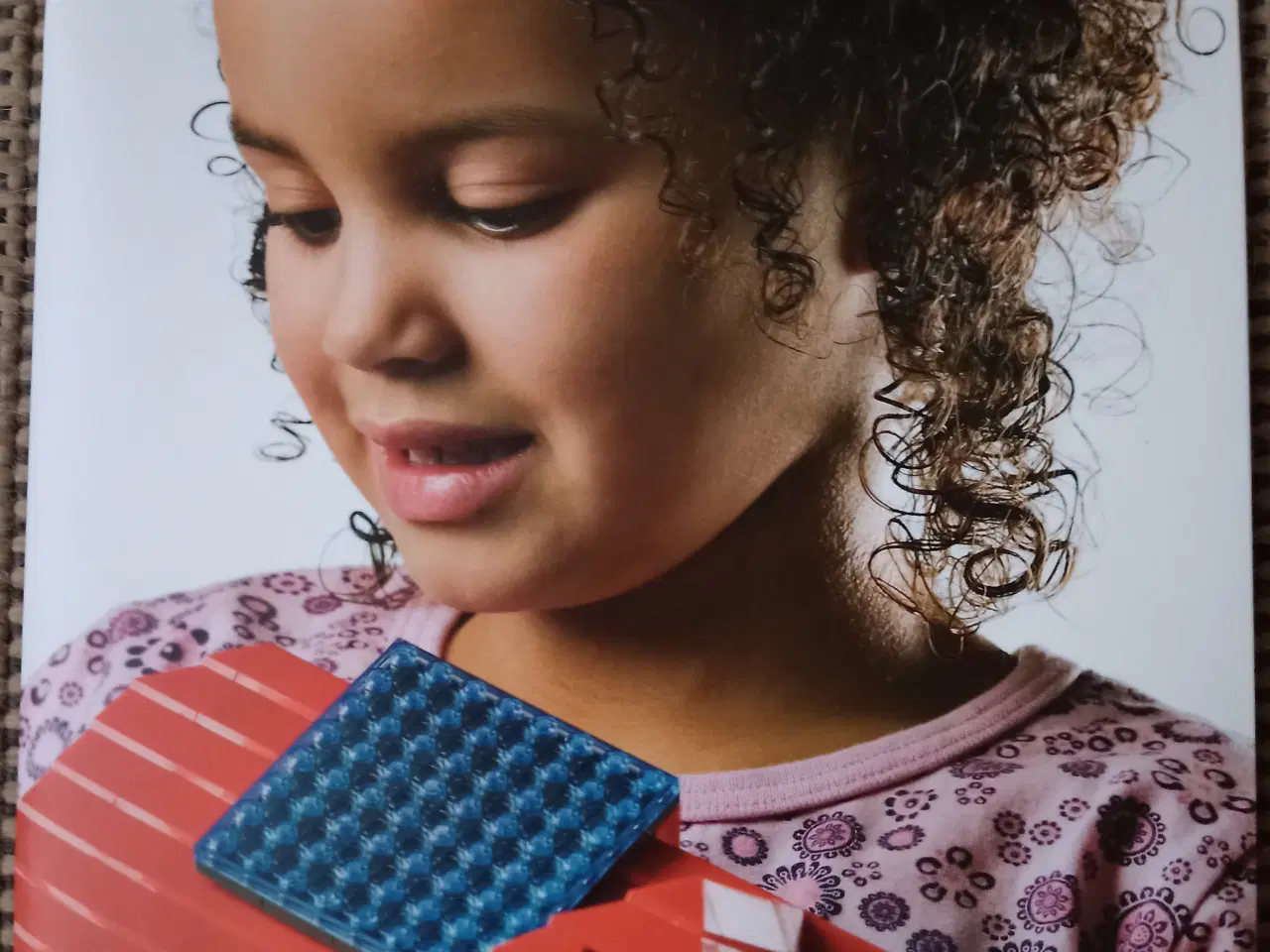 Billede 1 - Lego Bæredygtighed 2007.