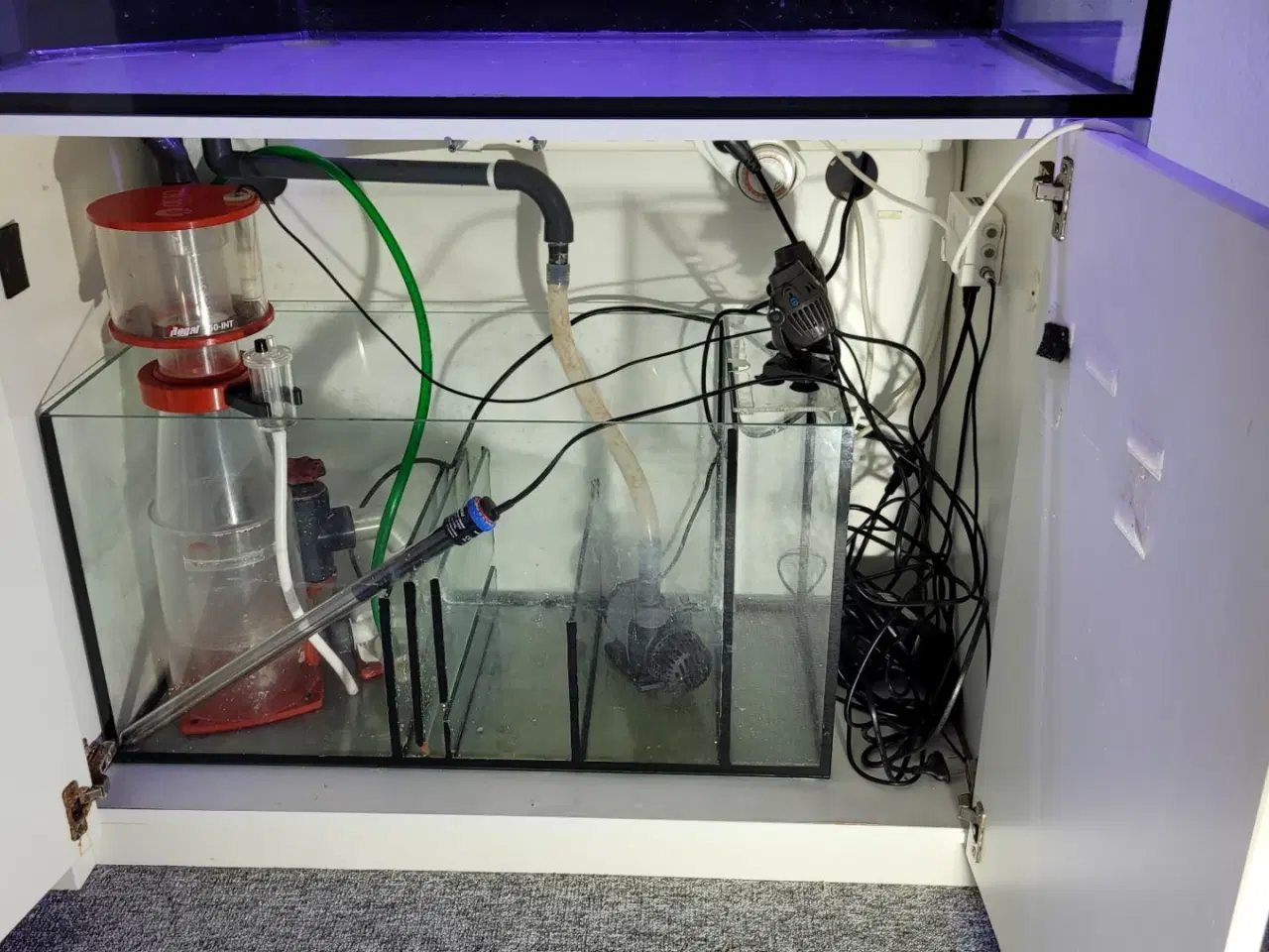 Billede 1 - Saltvandsakvarium med alt udstyr