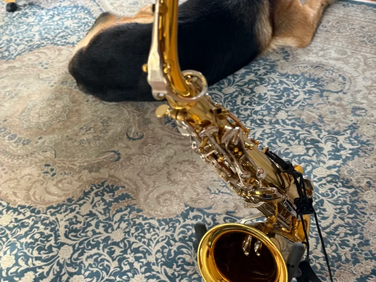 Billede 15 - Super CONN 20 M - Alt Saxofon. Fin og Velholdt,