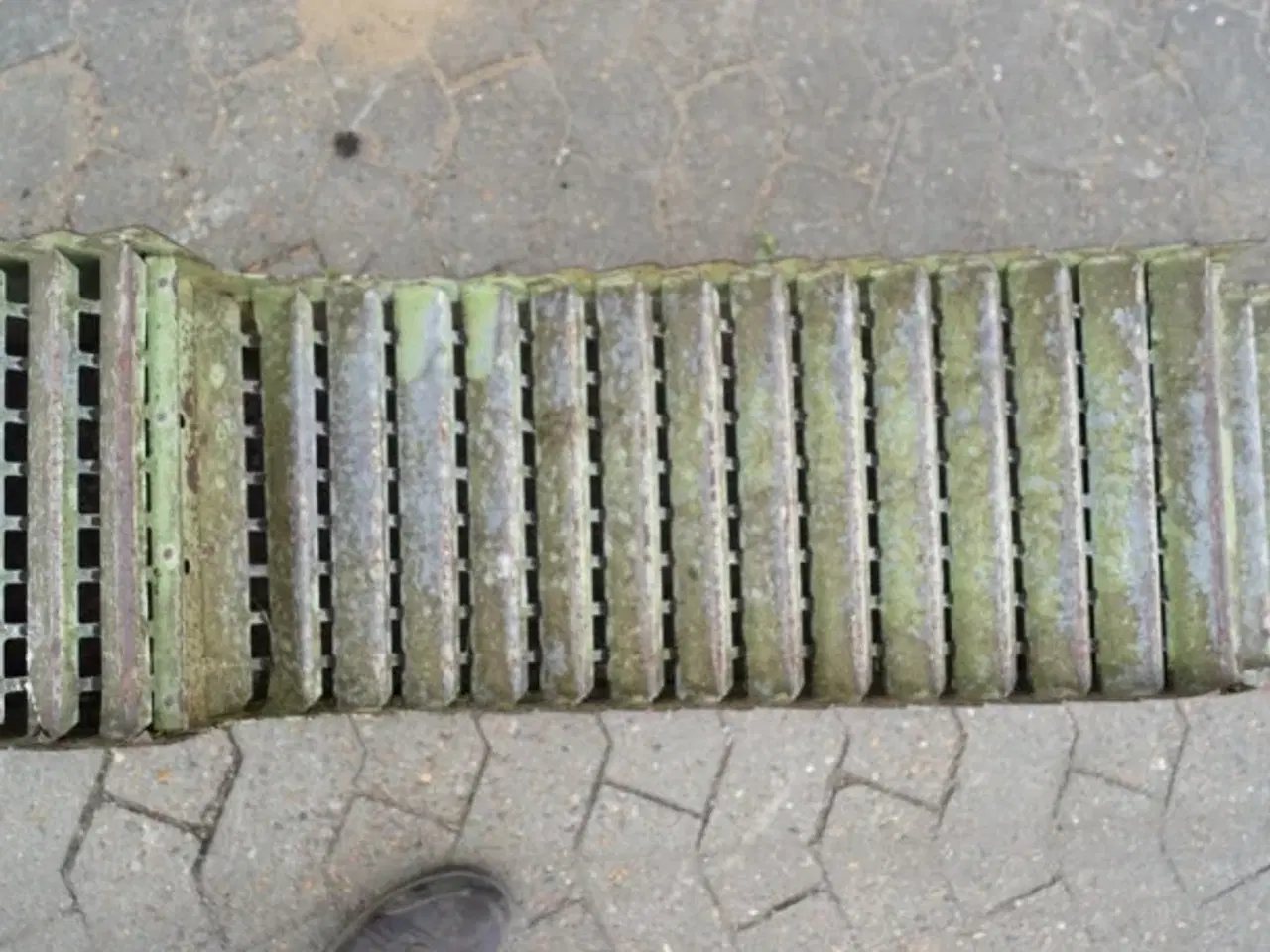 Billede 19 - Claas Senator Ryster 653902.2