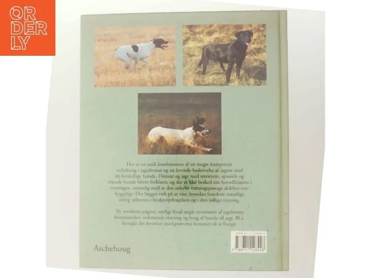 Billede 3 - Jagthunde - dressur og jagt : retrievere, spaniels, stående hunde af Sten Christoffersson (Bog)