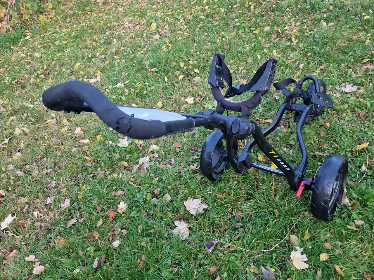 Billede 2 - Golfvogn