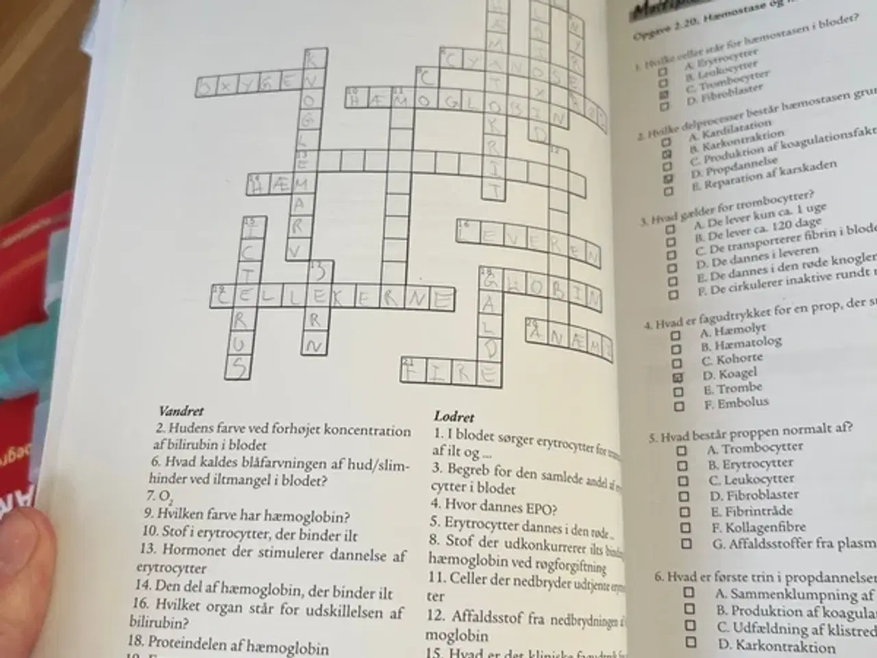 Billede 4 - Anatomi og fysiologi opgaver 2.udgave