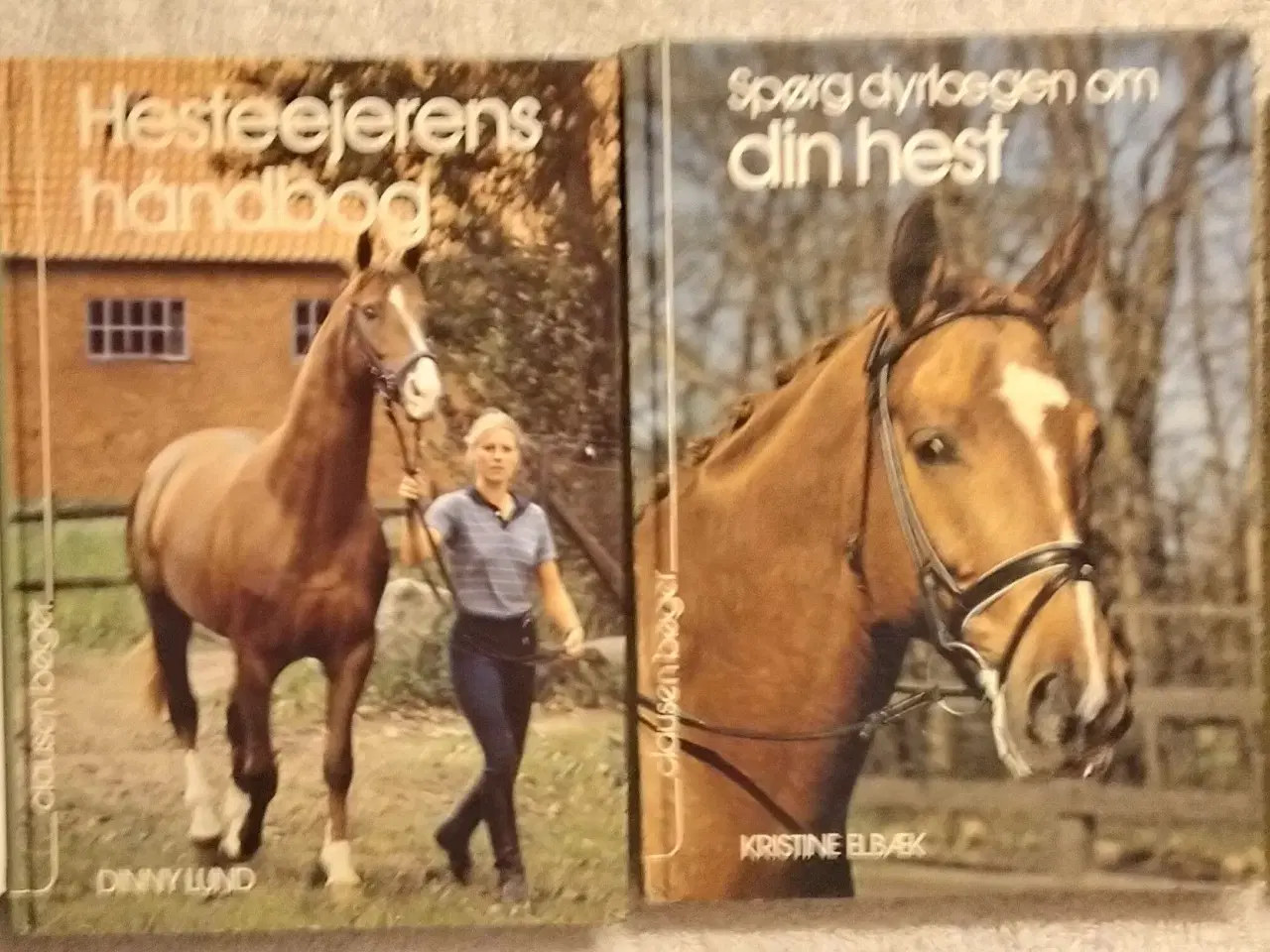 Billede 2 - 13 Hestebøger