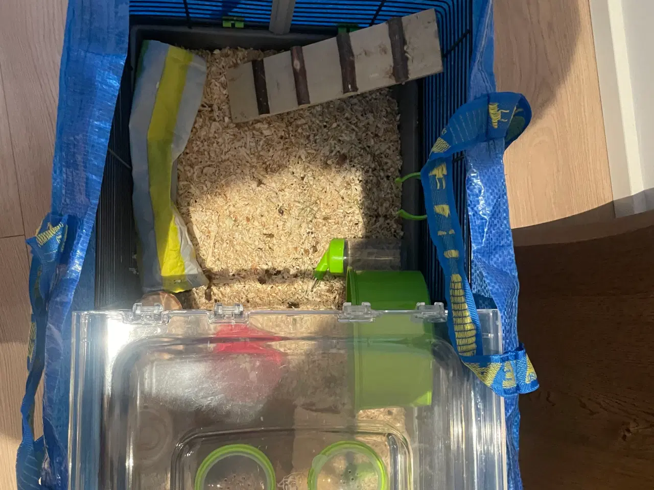Billede 7 - Bur/Terrariet og meget mere!🐹🍀