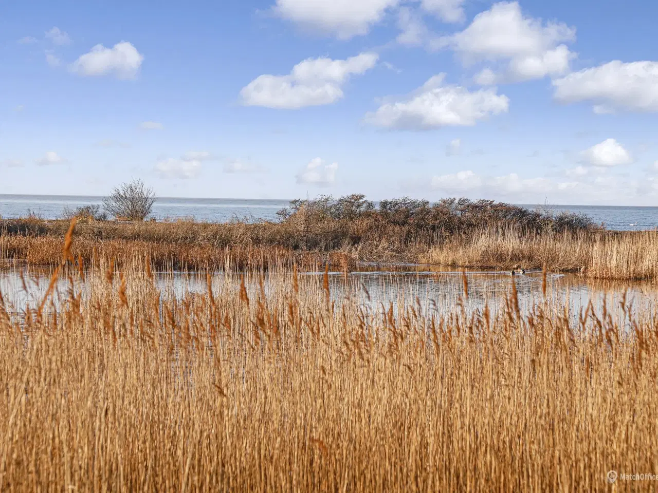Billede 29 - Stort højloftet lagerlokale på Amager i et råt industrielt look