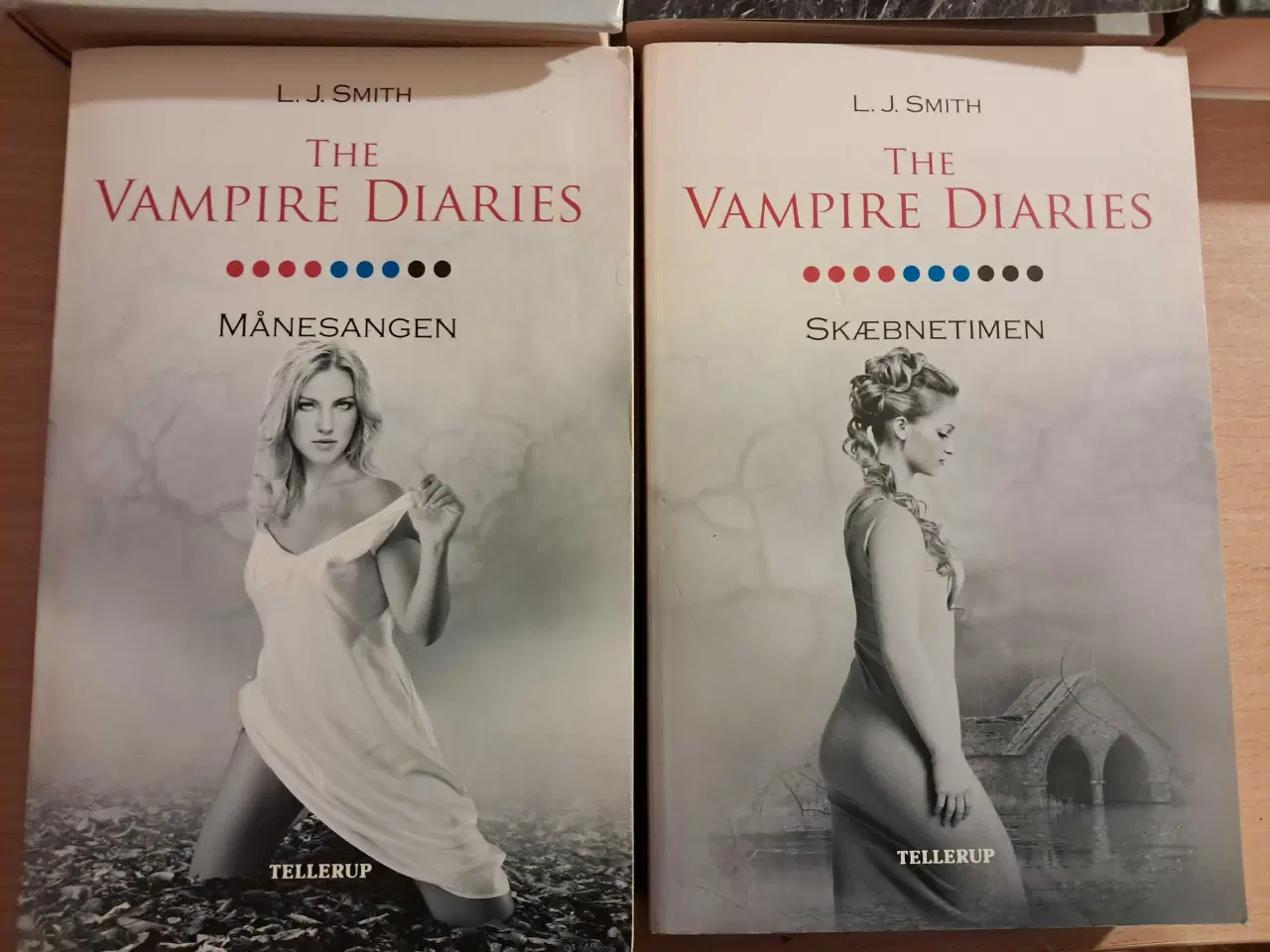 Billede 4 - The Vampire Diaries 1-10