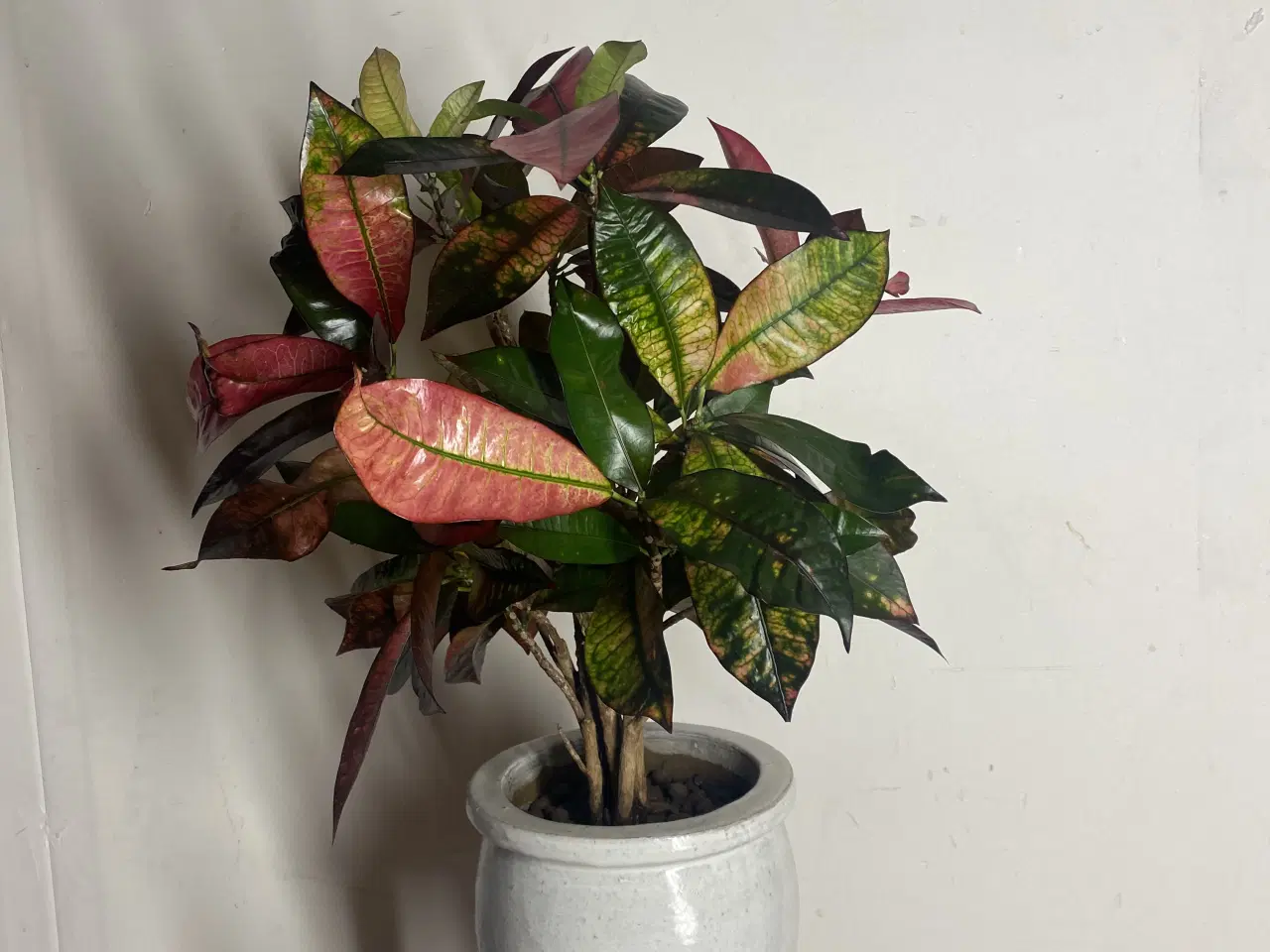 Billede 4 - Genbrugs Planter