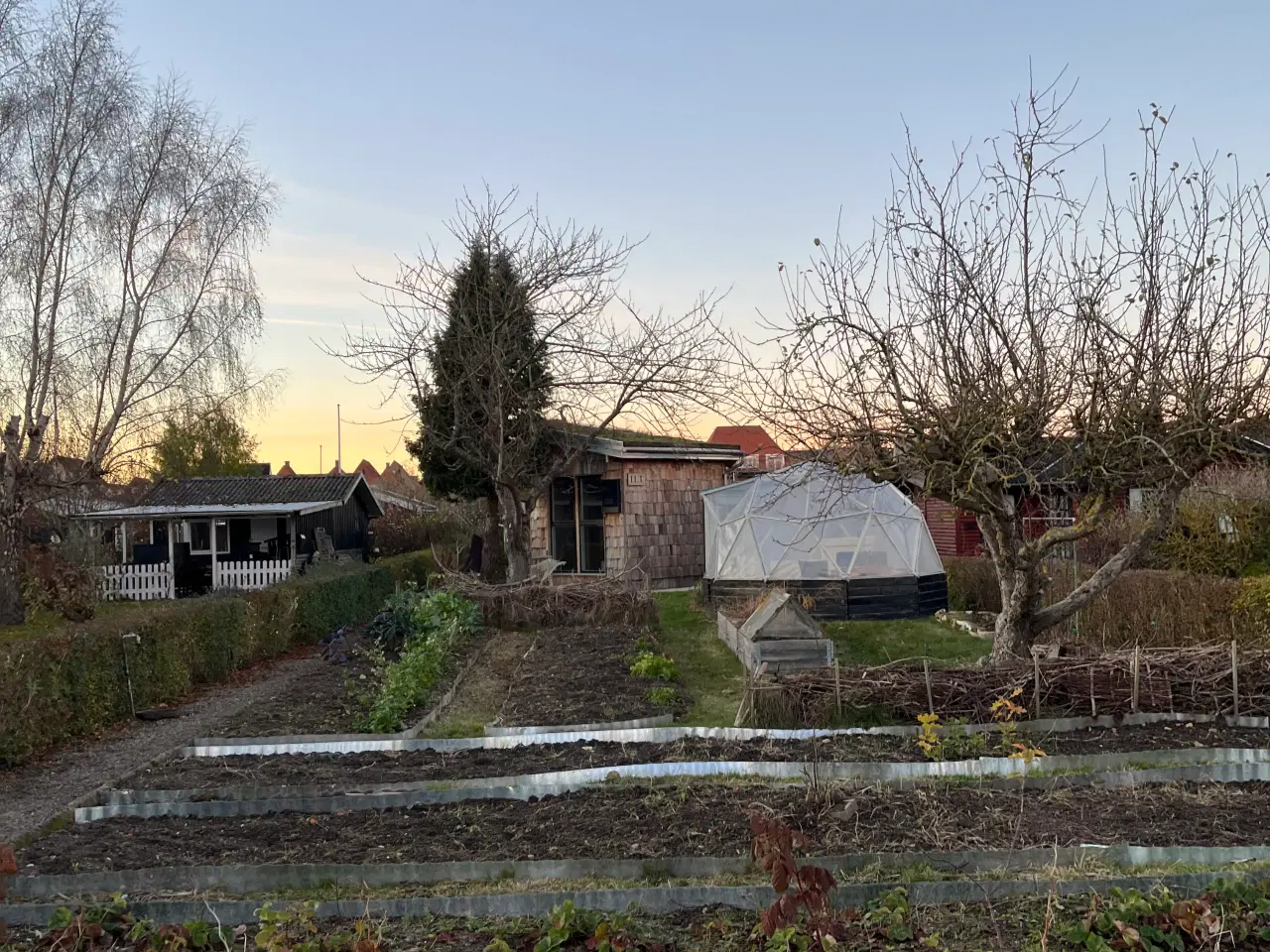 Billede 3 - Kolonihavehus i Odense C