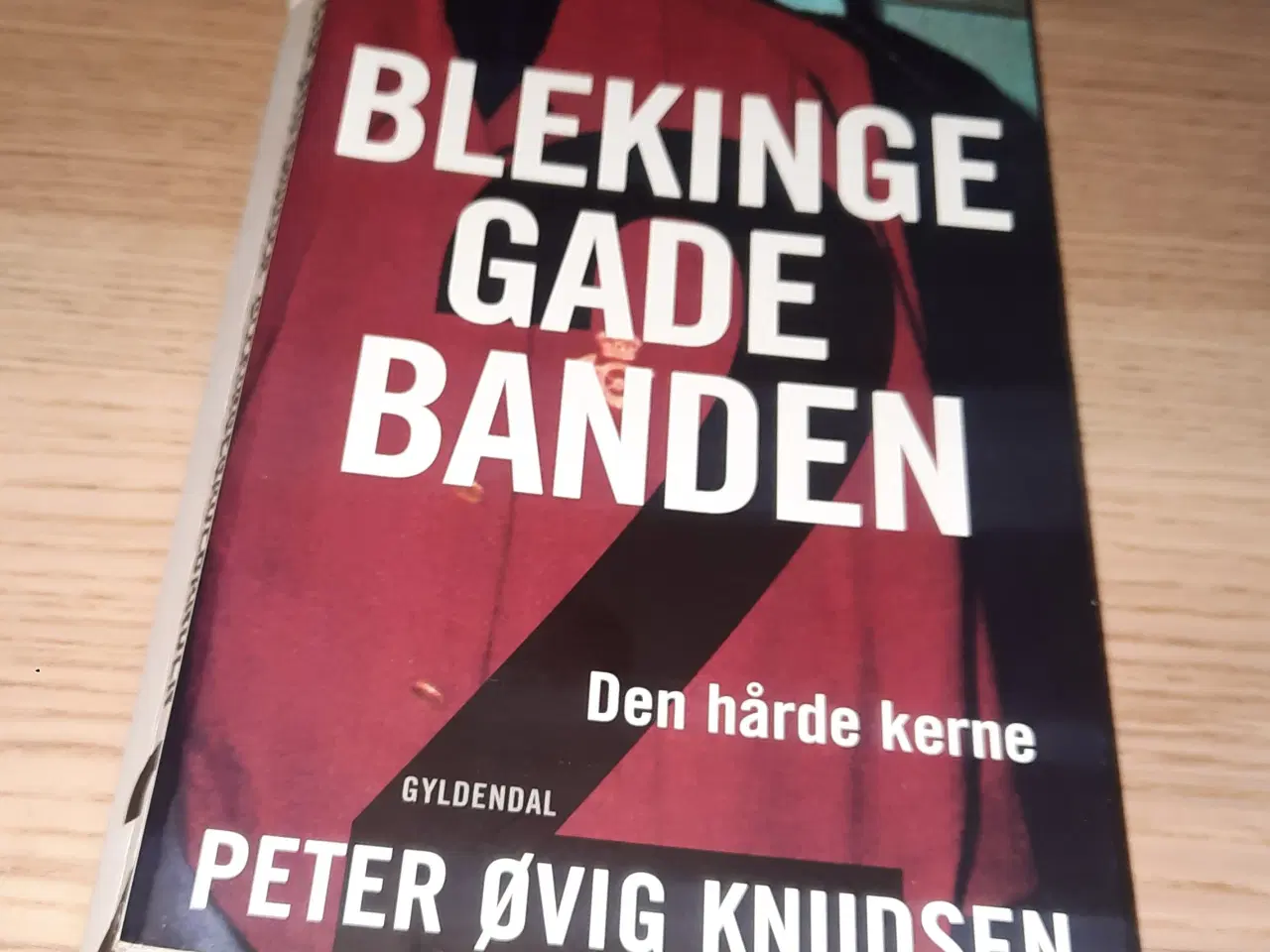Billede 10 - Børnenes rekordbog 1997