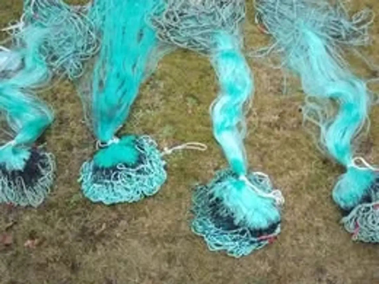 Billede 1 - Rødspættegarn.