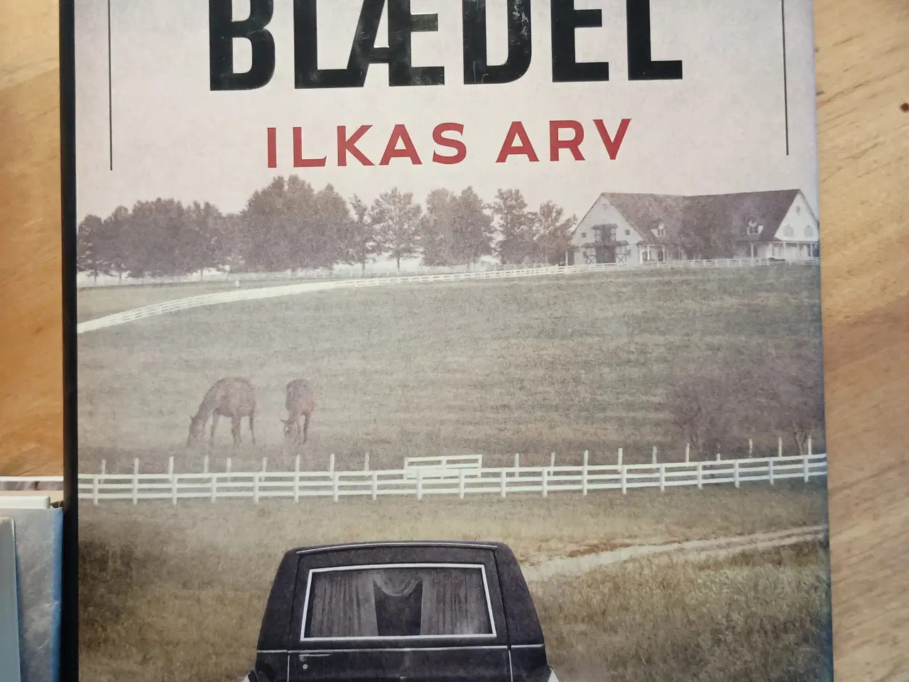 Billede 2 - Sara Blædel bøger. 
