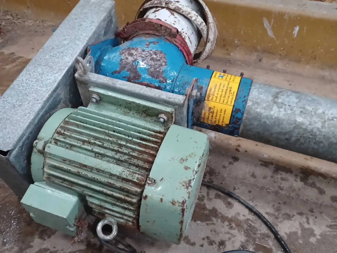 Billede 2 - Kornsnejl