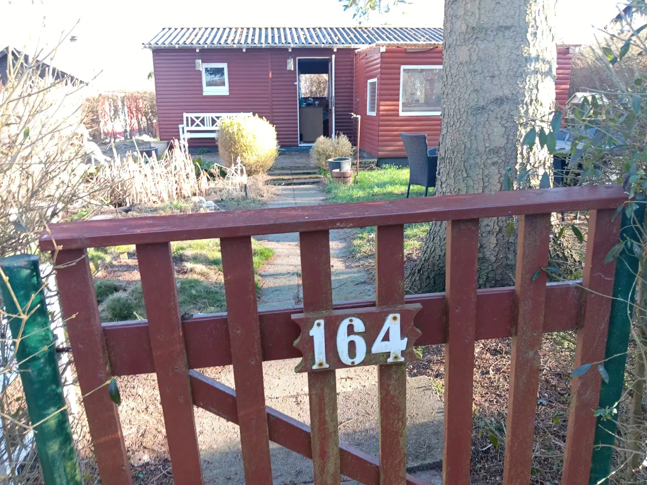 Billede 6 - Kolonihave Odense V