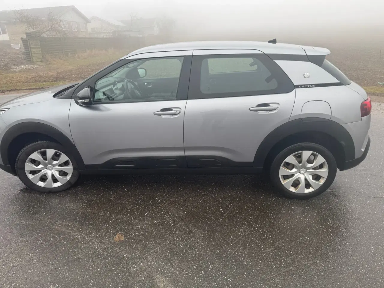 Billede 4 - Citroën C4 Cactus 1,2 PureTech 110 Platinum