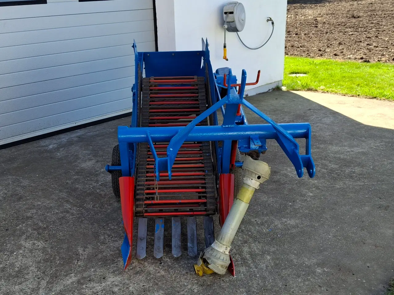 Billede 3 - Kartoffel sideudlægger