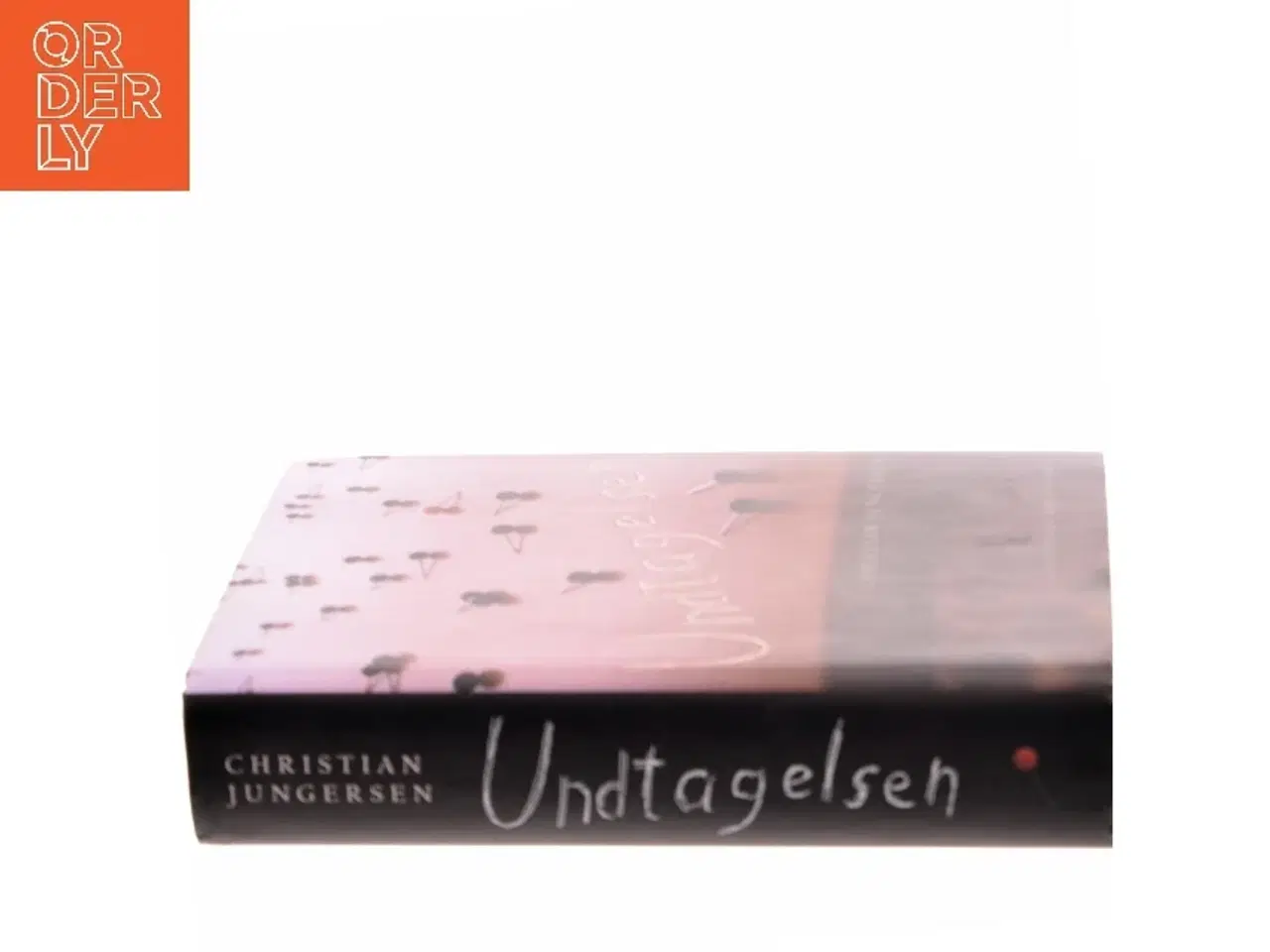 Billede 2 - Undtagelsen : roman af Christian Jungersen (Bog)