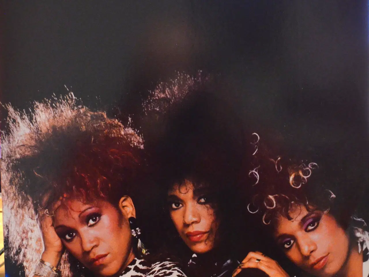 Billede 11 - LP plader sælges.