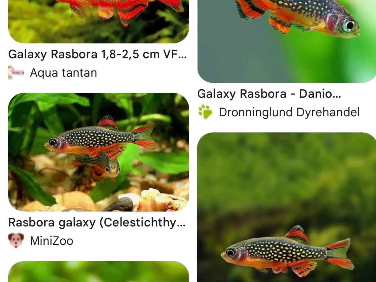 Billede 8 - Fire ens 45 liters akvarier på møbel hvis ønskes