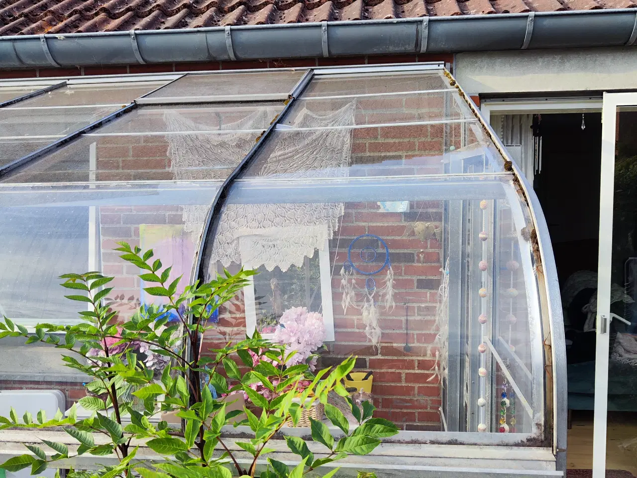 Billede 2 - 🌿 Drivhus gratis mod nedtagning 🌿