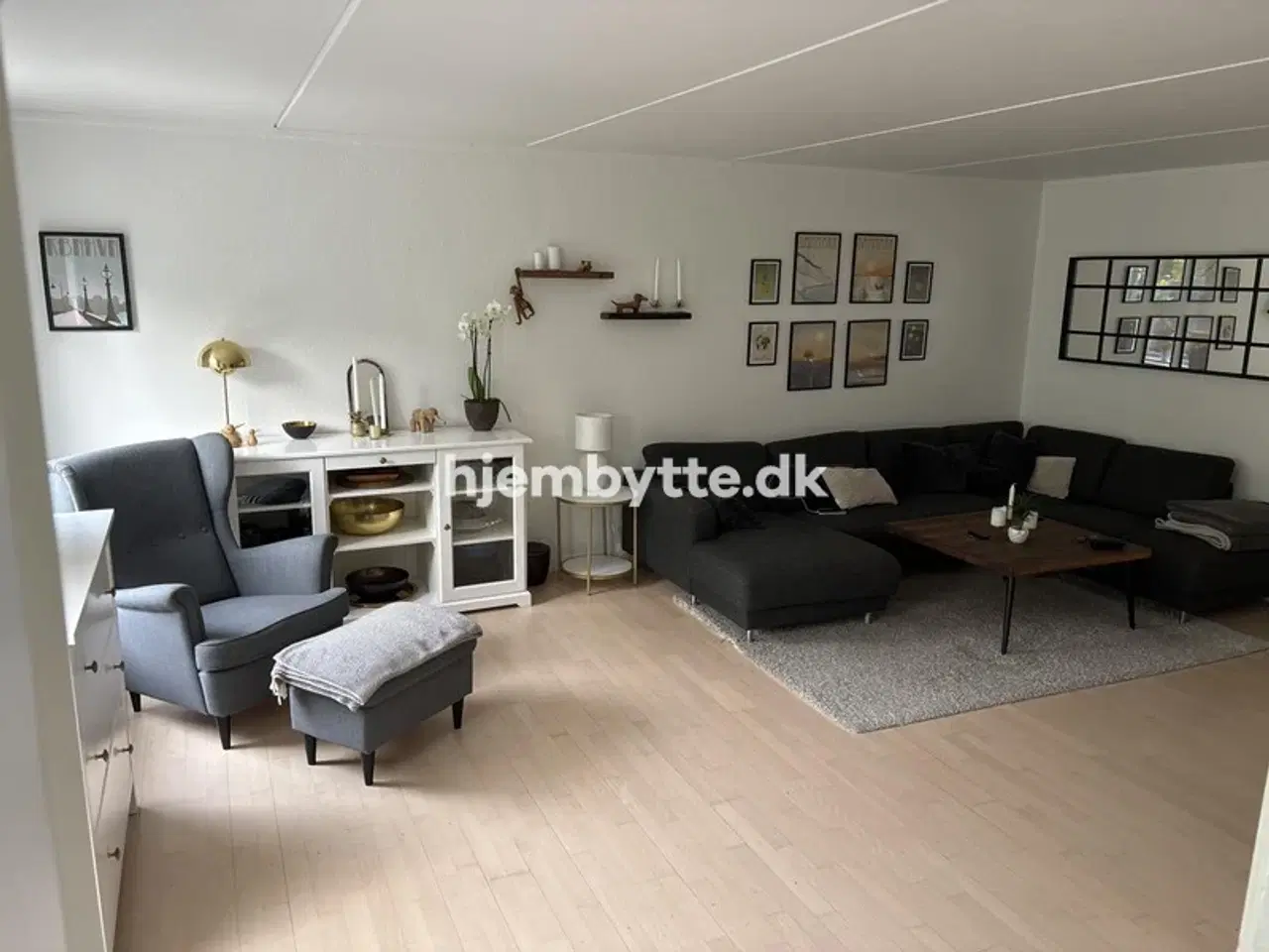 Billede 3 - Hjembytte - Klyveren