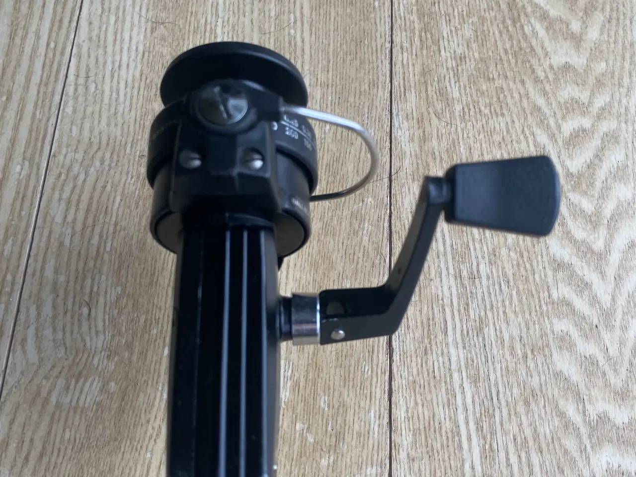 Billede 5 - Abu Cardinal