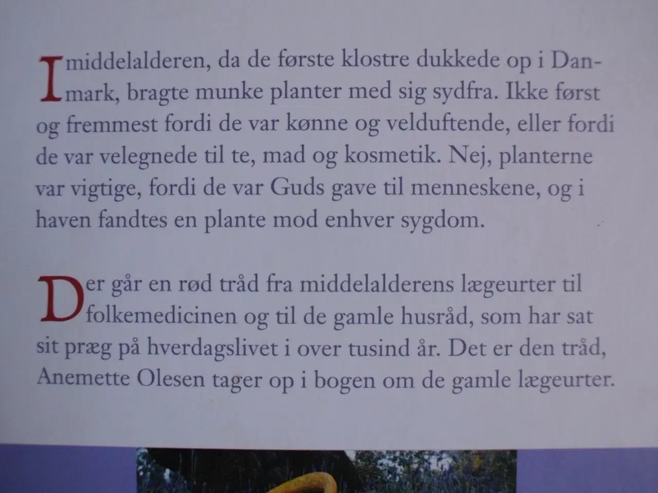 Billede 2 - gamle lægeurter -dyrkning, anvendelse, have. helse