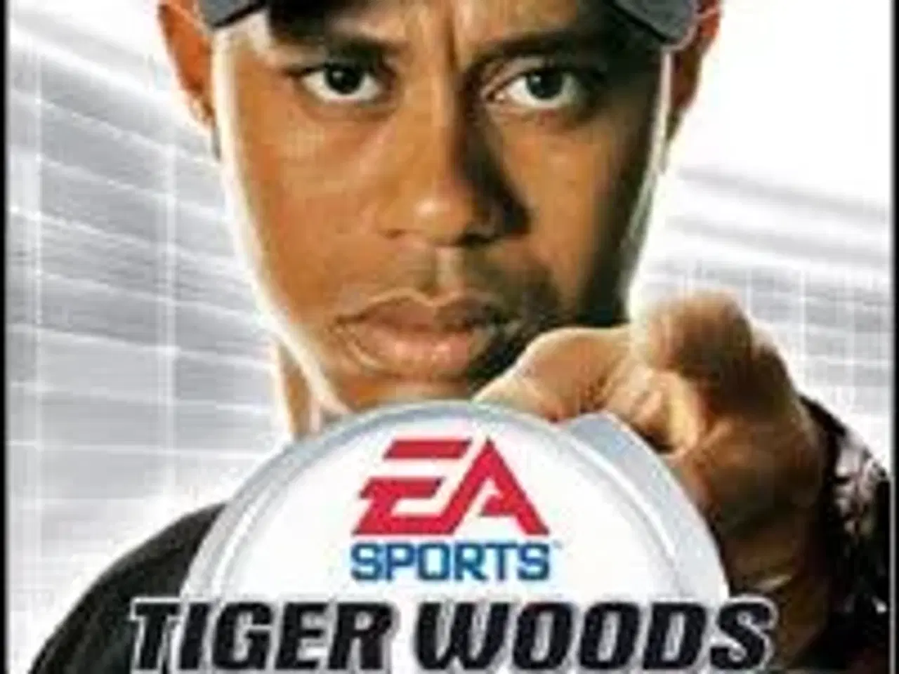 Billede 1 - EA Sports Tiger Woods PGA 2005
