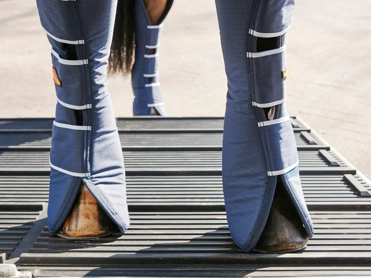 Billede 6 - Böckmann Champion Uno Esprit 25 med udstyrspakke