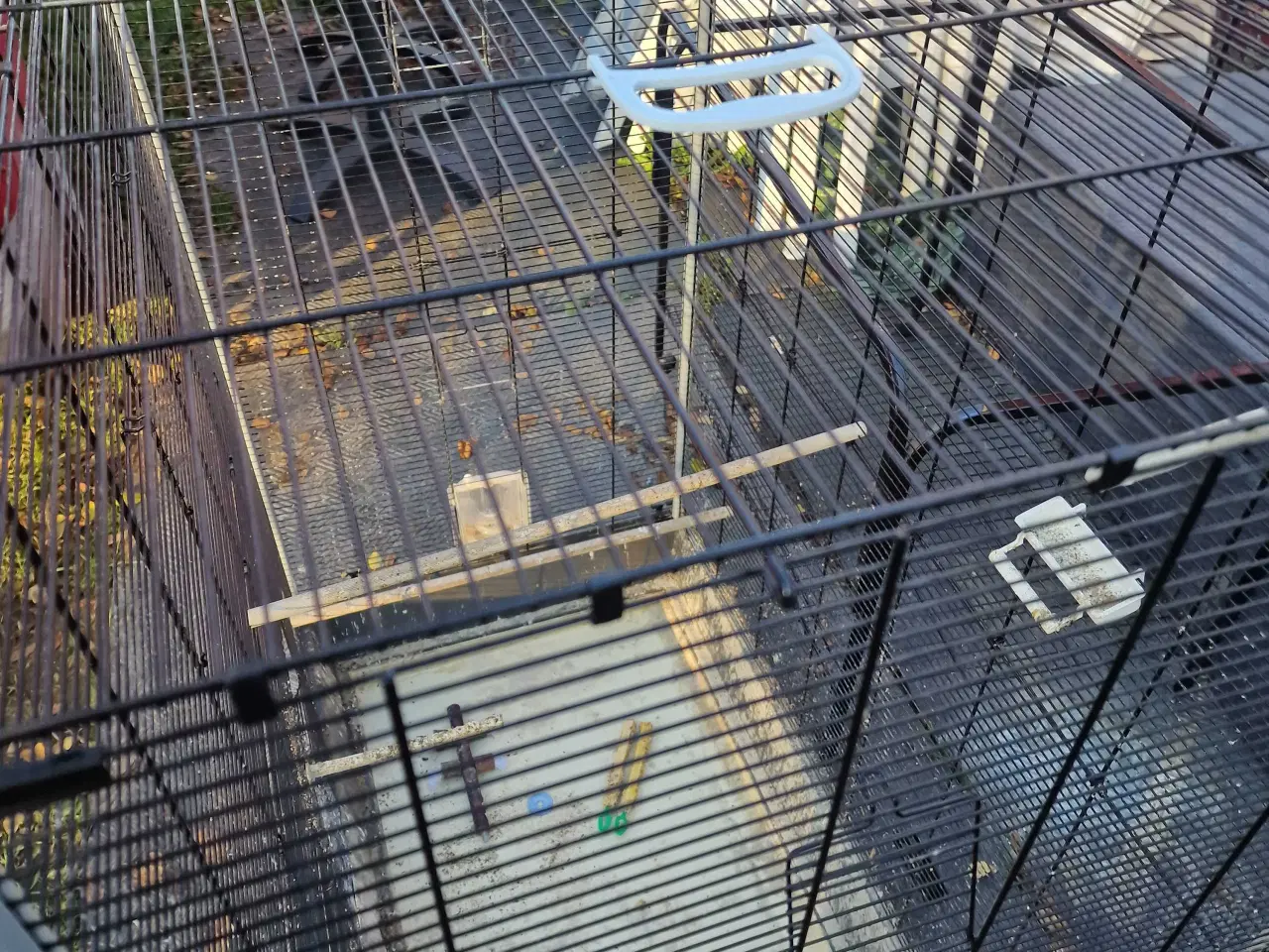 Billede 6 - Fuglevoliere