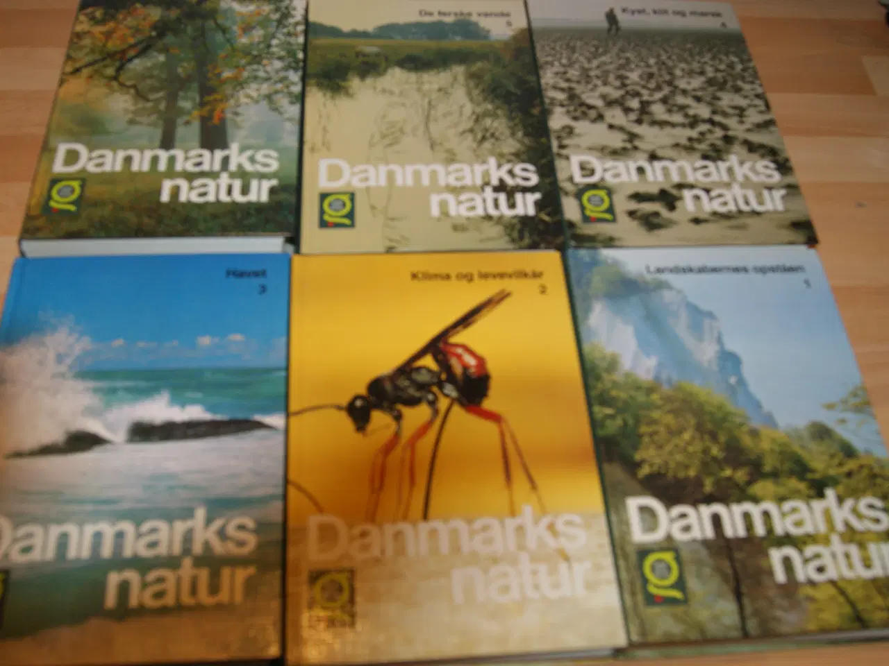 Billede 2 - Danmarks natur