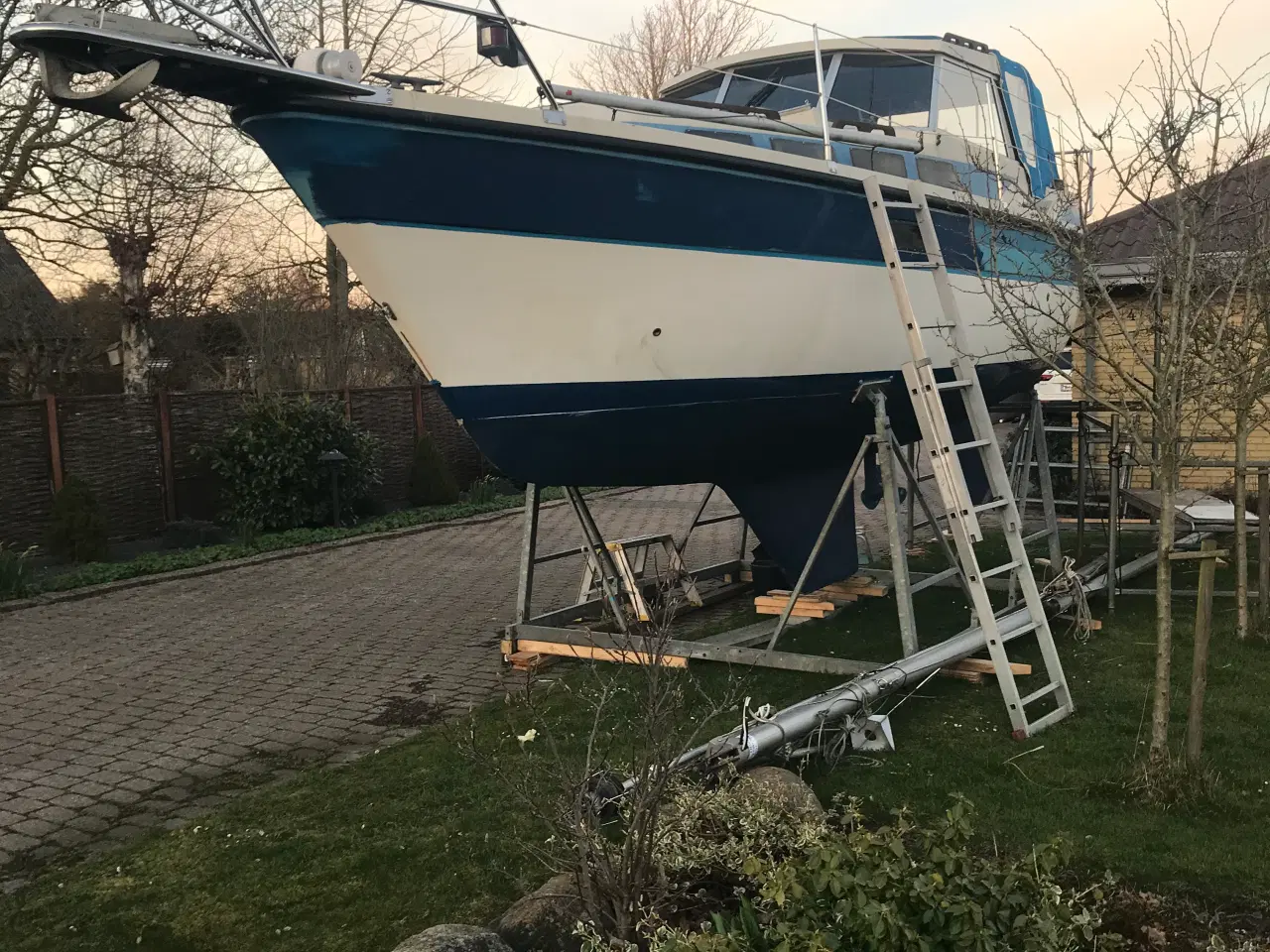 Billede 3 - møn  830 motorsegler 